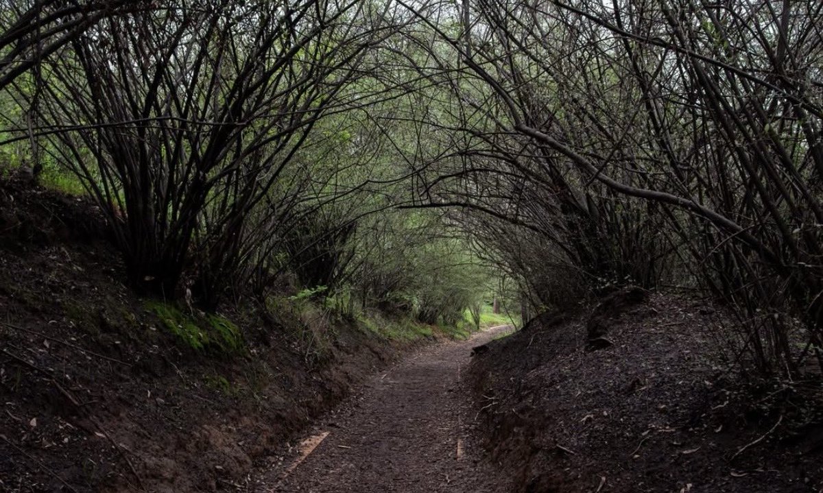 Natasha Uren tweet media