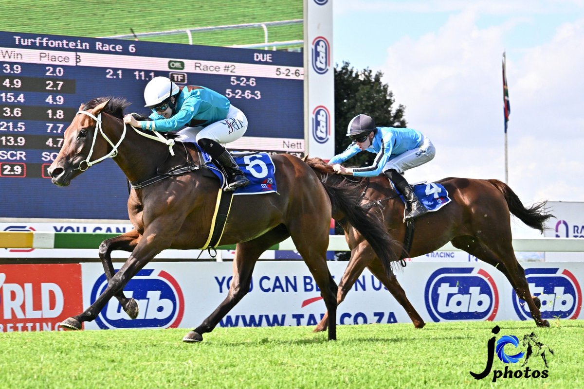 Mickaëlle Michel - ミカエルミシェル tweet media