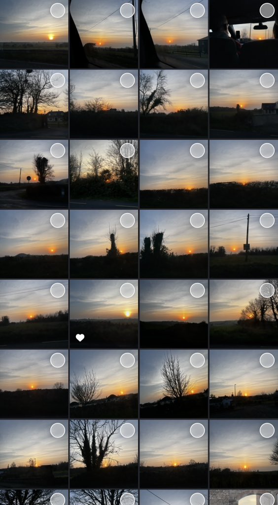 daria ⋆˚࿔ tweet media