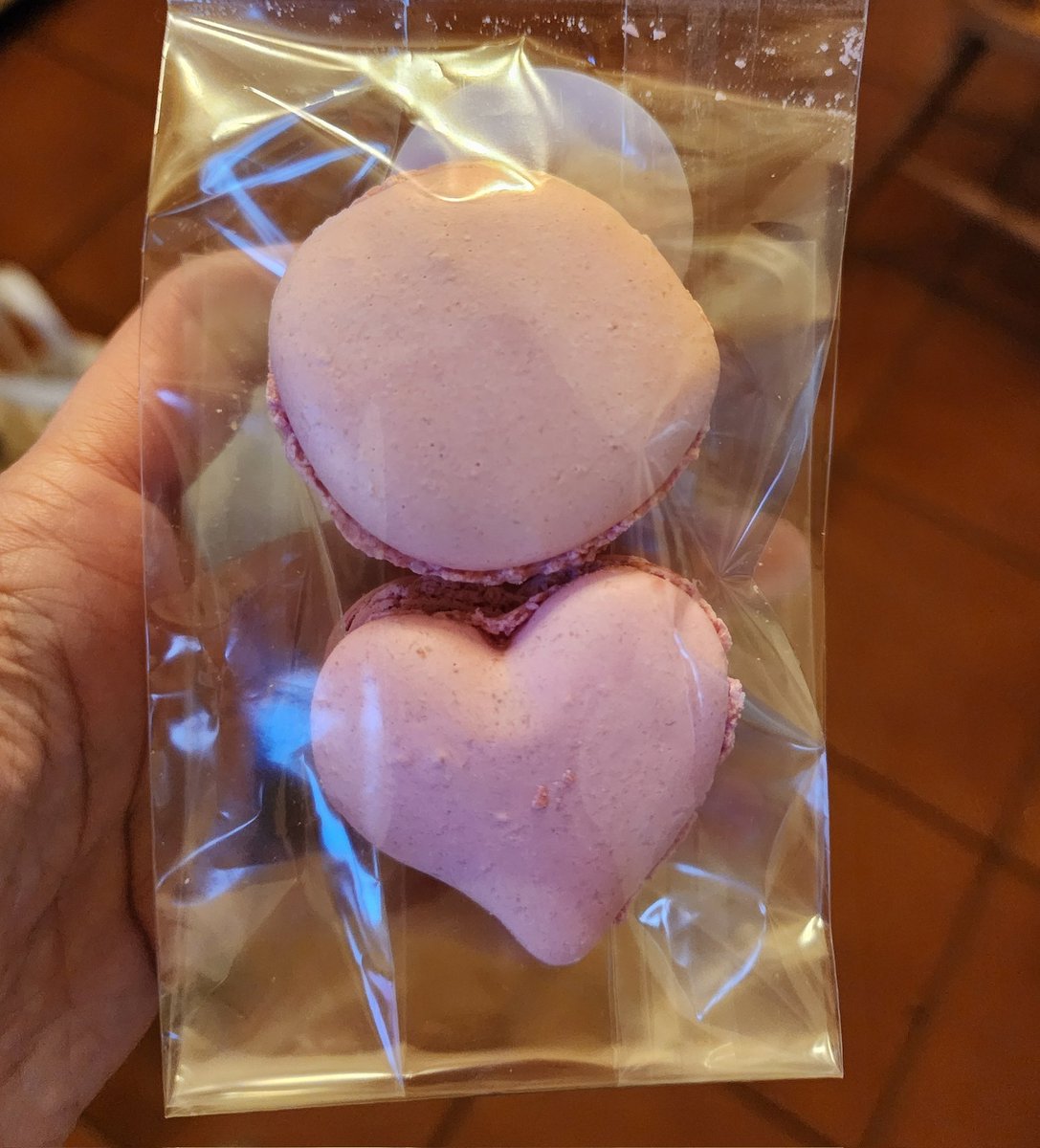 🐸 irene (screaming witch era) tweet media