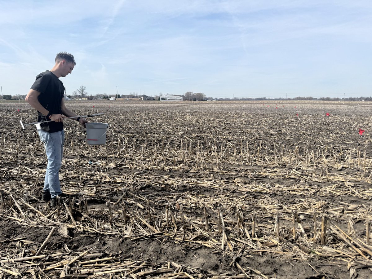 Franco Bardeggia tweet media