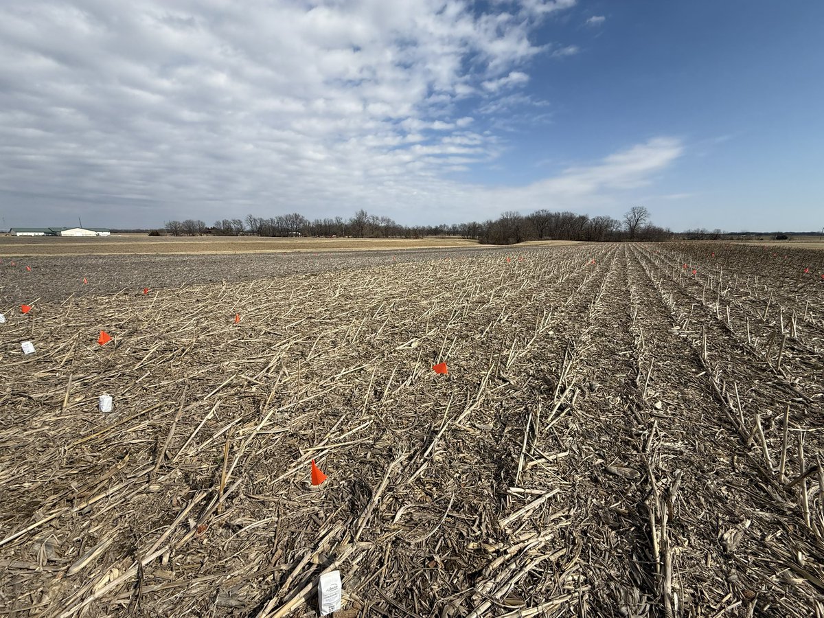 Franco Bardeggia tweet media