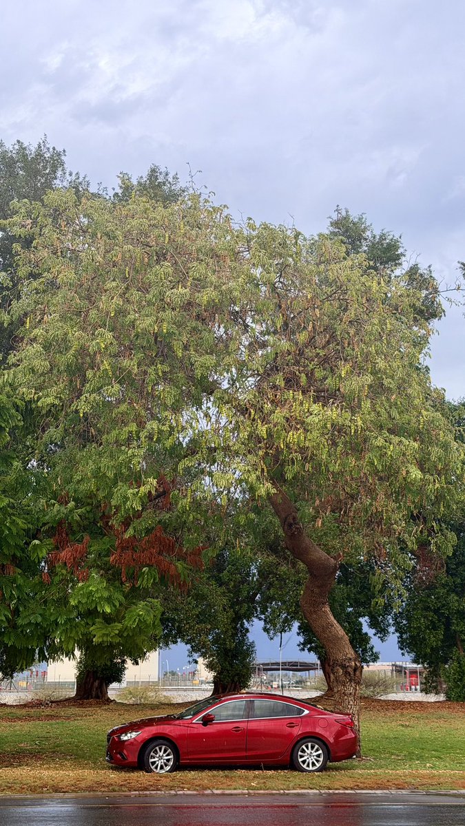 شهاب الزدجالي tweet media