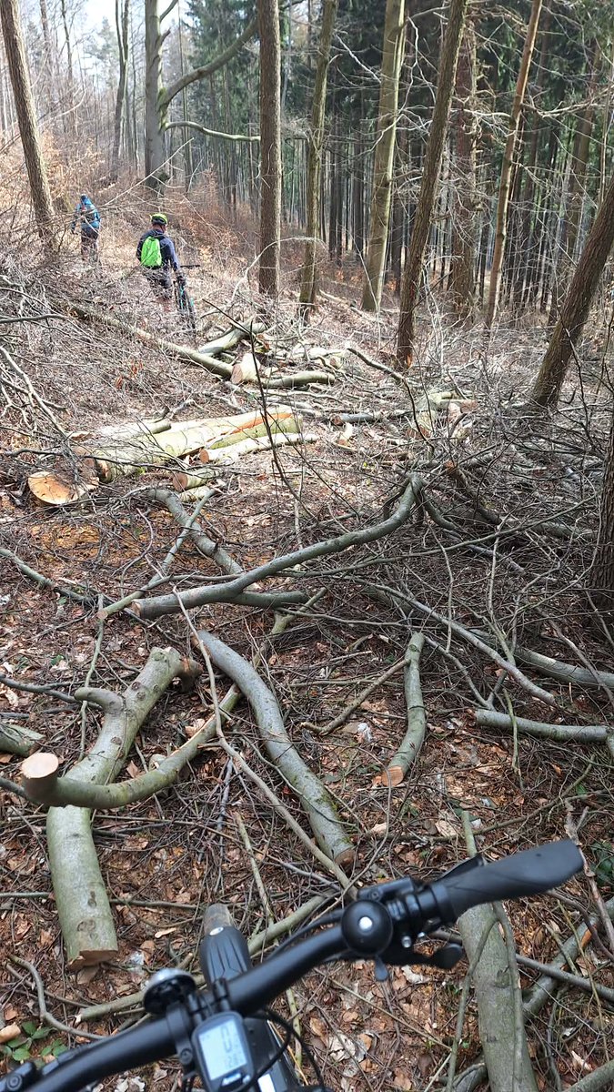 🌐 Amazonia is here tweet media