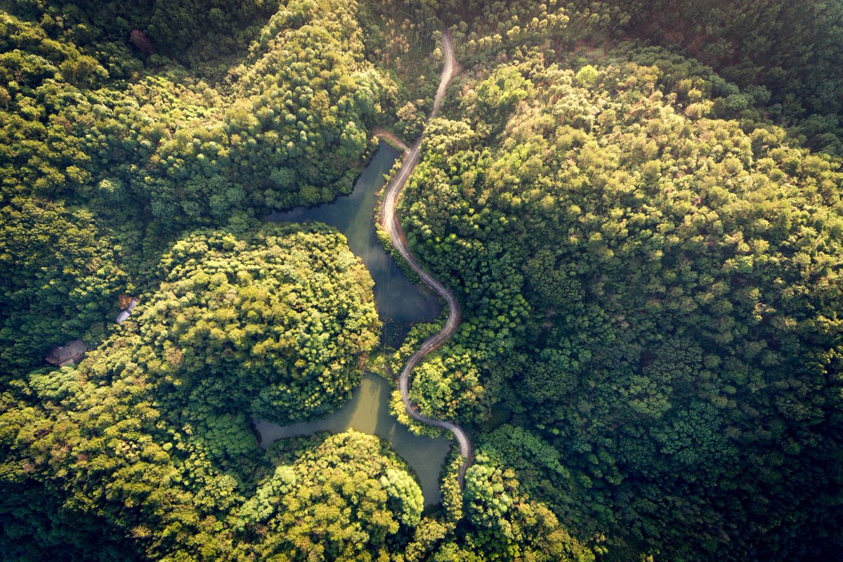 Chinese Embassy in Jamaica tweet media