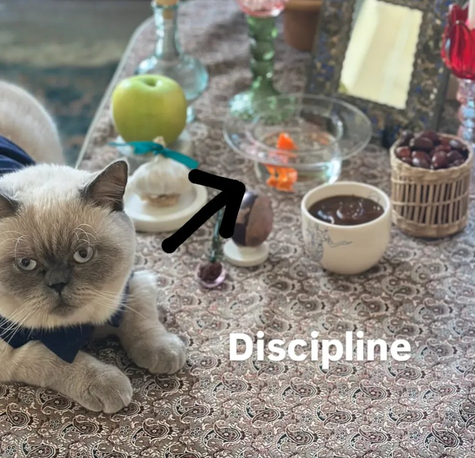 Nima 🇬🇧🇪🇺🏴󠁧󠁢󠁥󠁮󠁧󠁿 tweet media