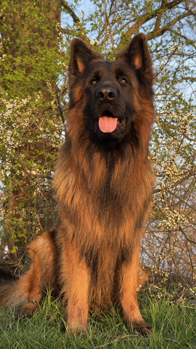 StormLadyHarmsDepp🏴‍☠️🦜🐒☠️ tweet media