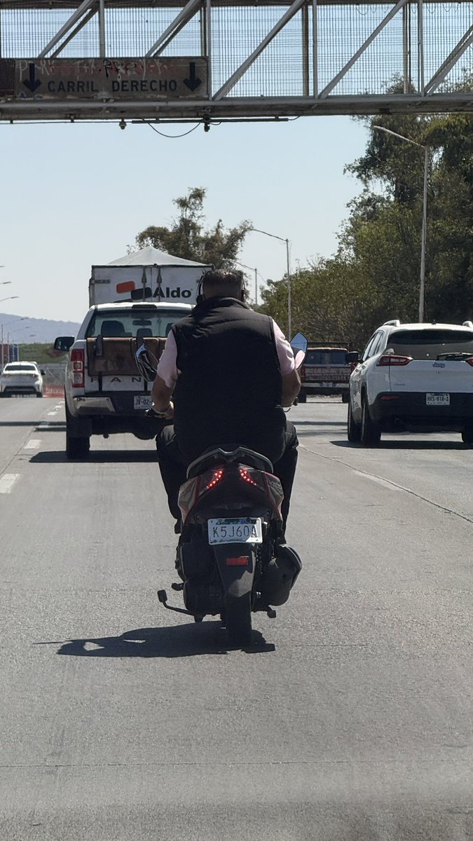 Yogurt_LSX tweet media