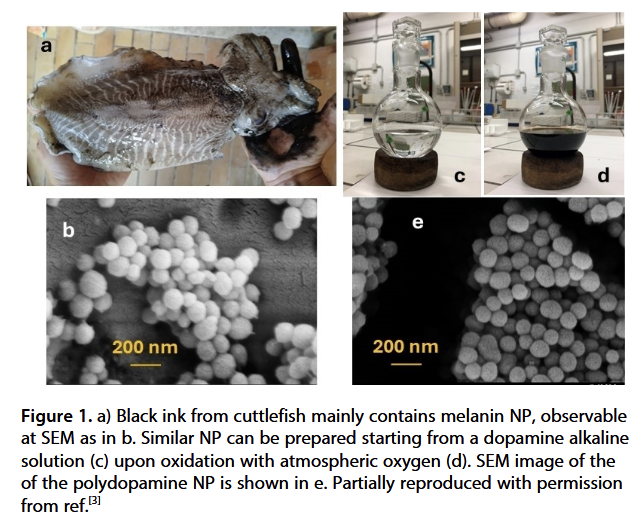 Thomas P Seager, PhD tweet media