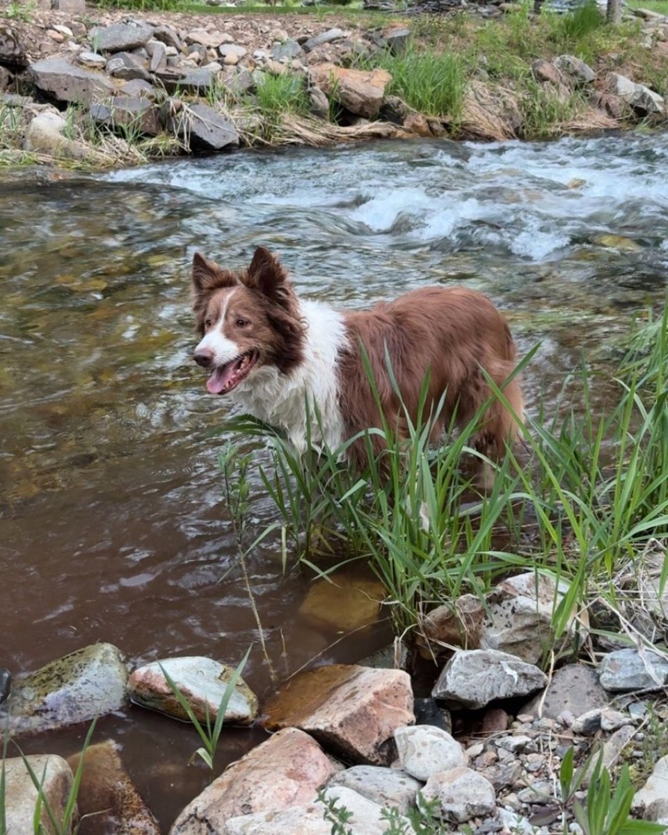 Wendle Ford tweet media