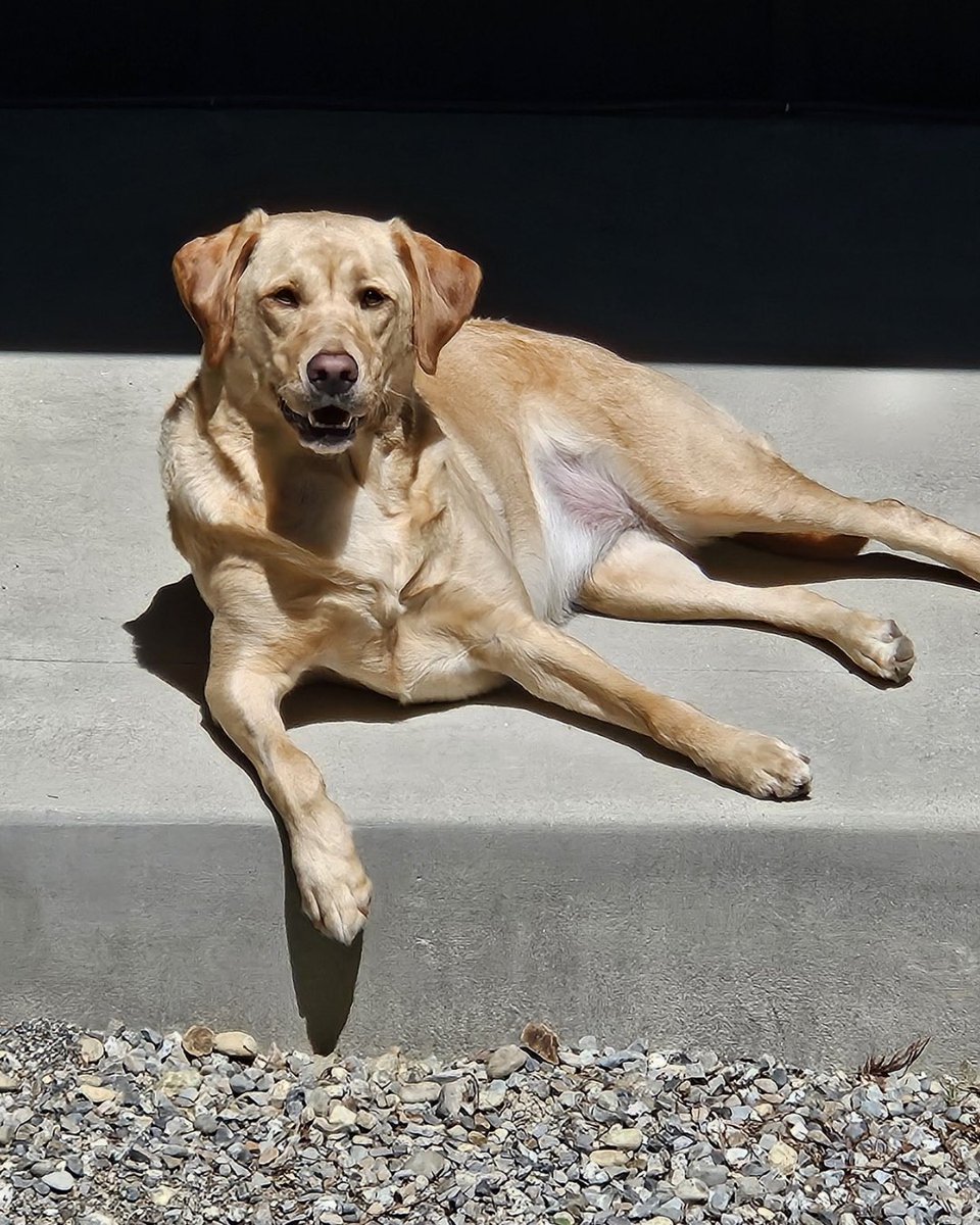 Wendle Ford tweet media