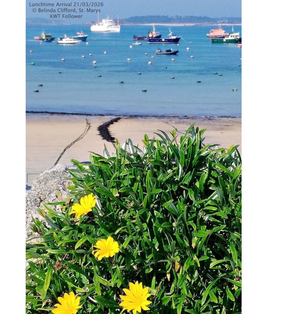 Kernow Weather Team tweet media