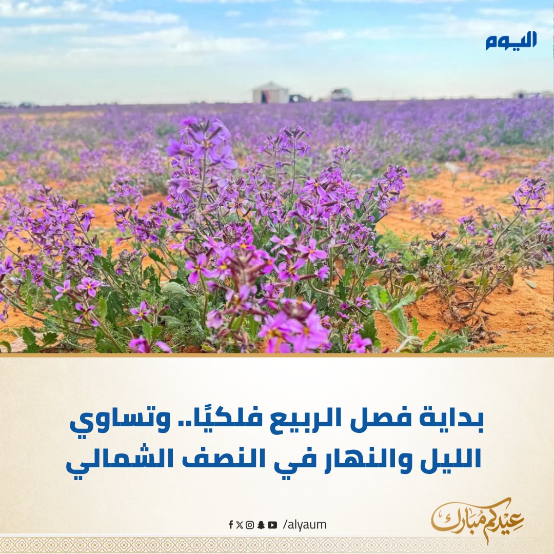 صحيفة اليوم tweet media