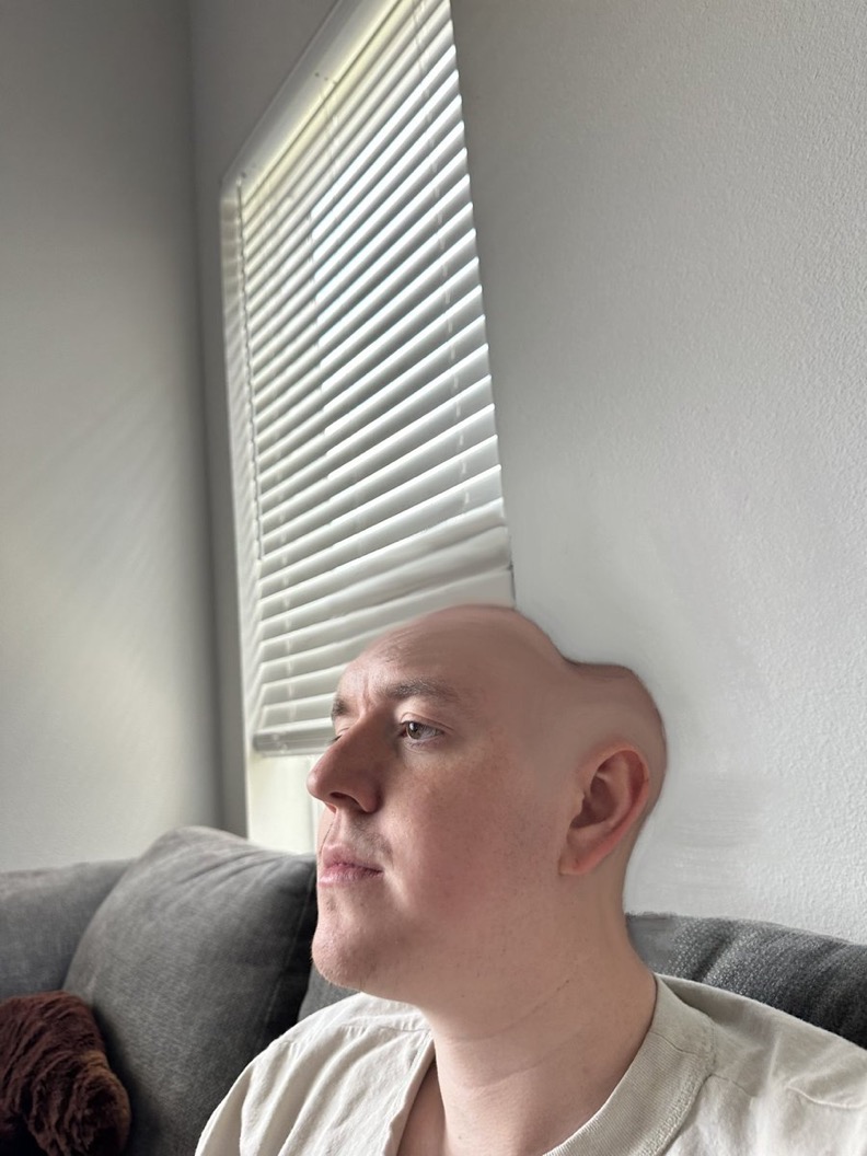 don_vector tweet media