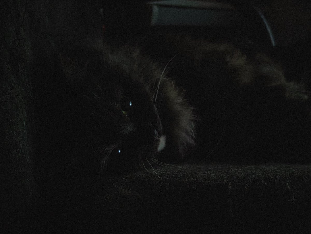 есть чем платить но я не хочу tweet media