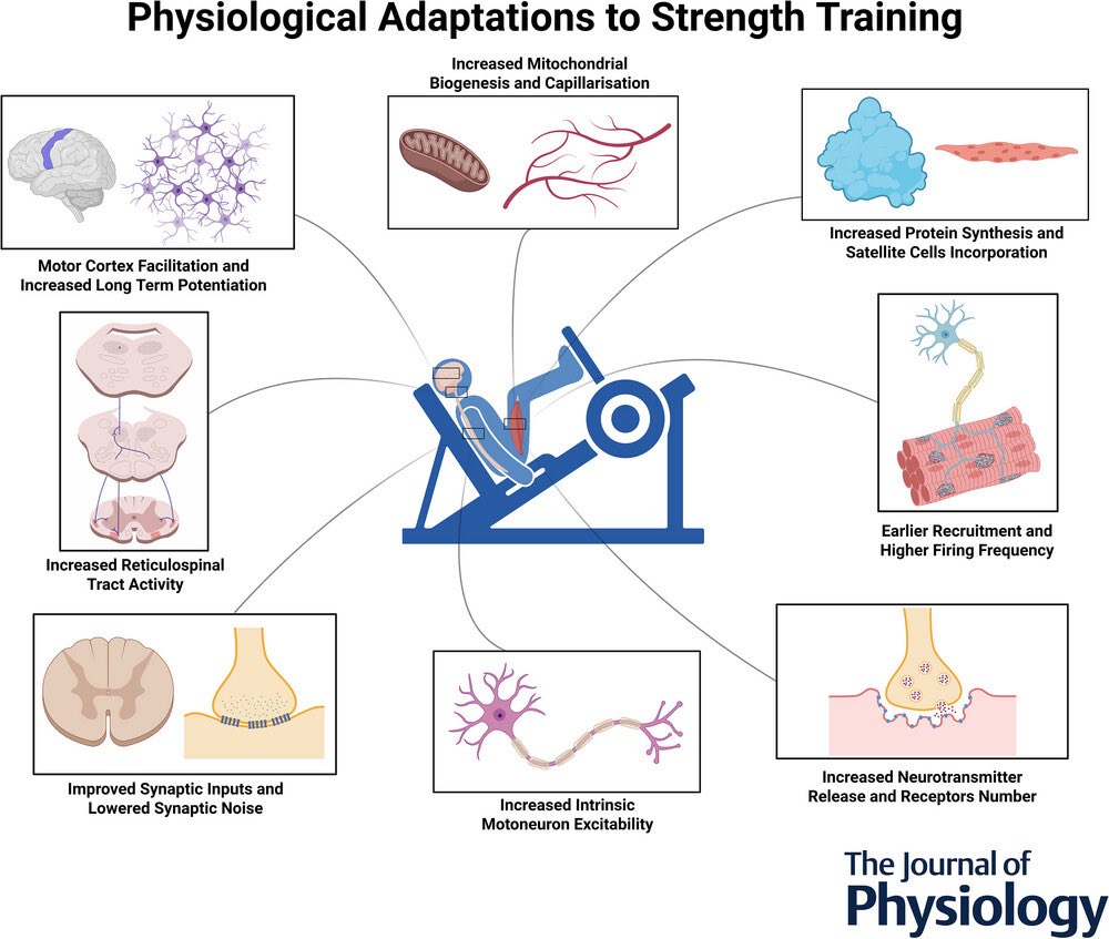 Christoph Burch tweet media