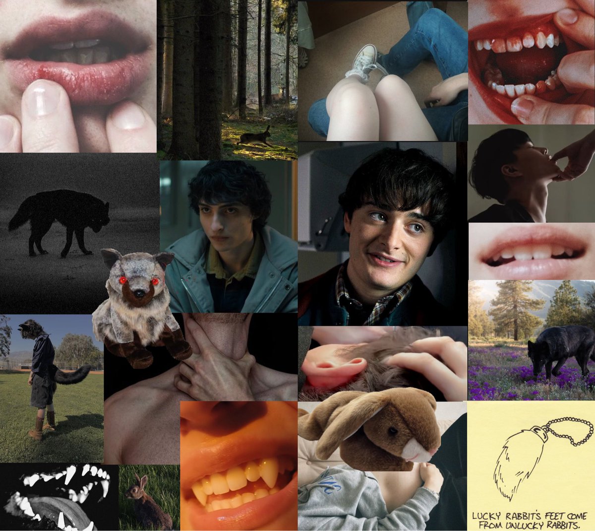 🔮 brie 🔮 aussie slut tweet media