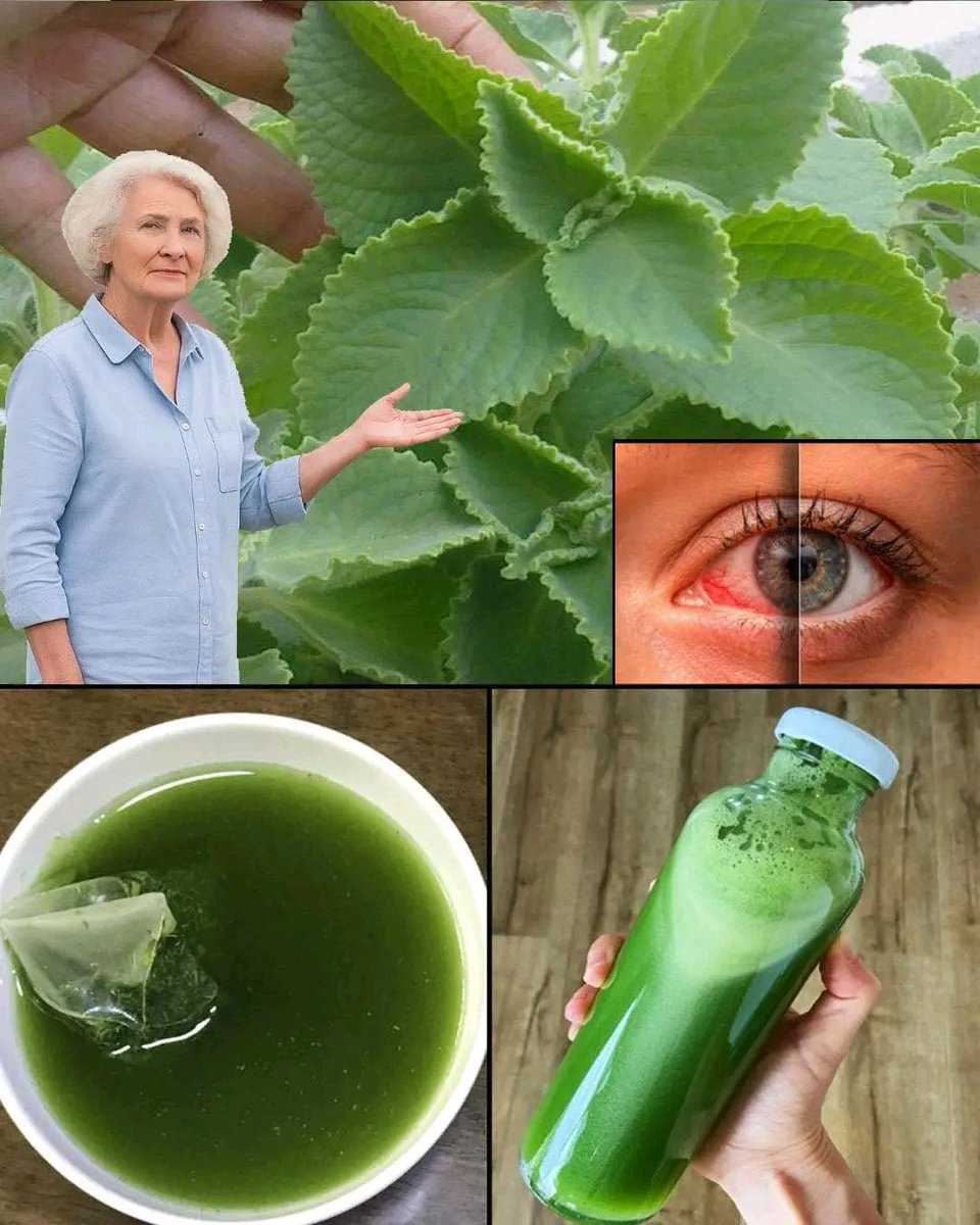 Herbalisque tweet media