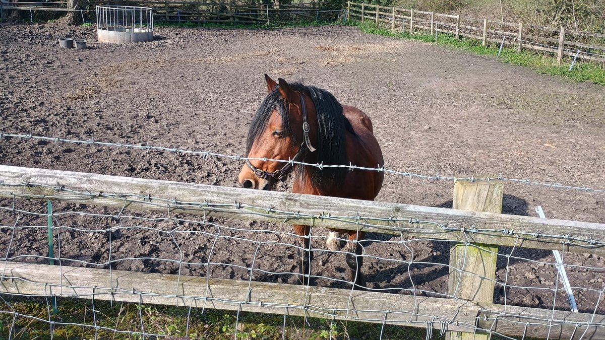 Lew Stringer, Cartoonist tweet media