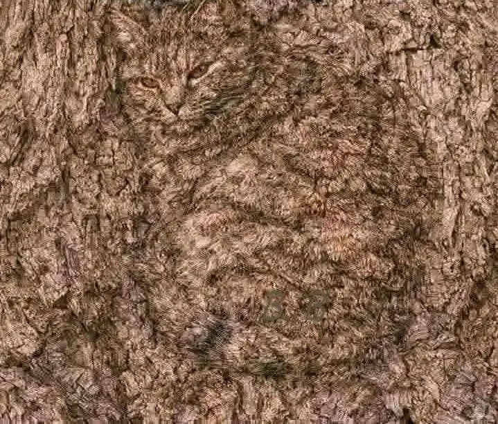 vermerlleey tweet media