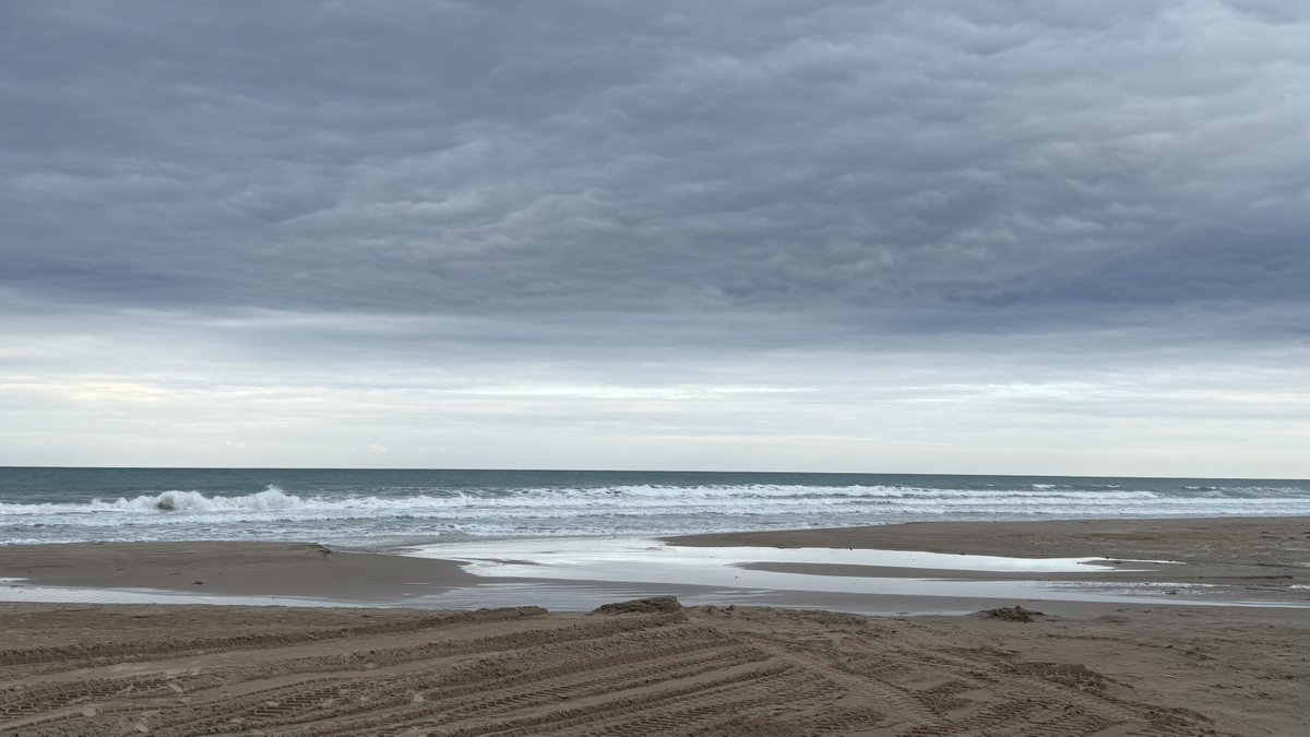 MargaMorguix⚖️🇺🇦 tweet media