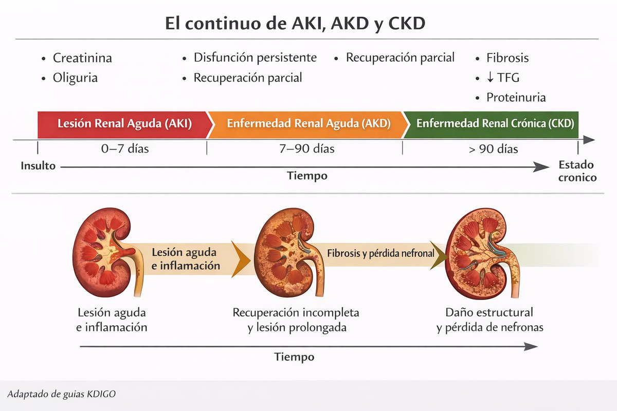 Franklin Loachamin tweet media