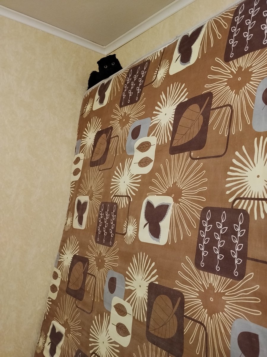 SevenFenix tweet media