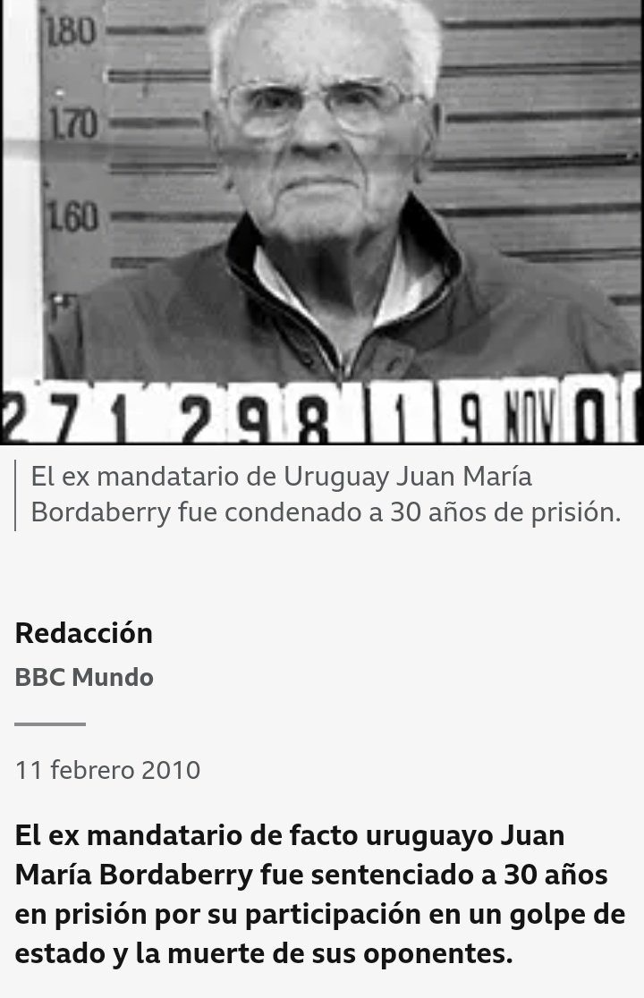 Natalia brites🌊 tweet media