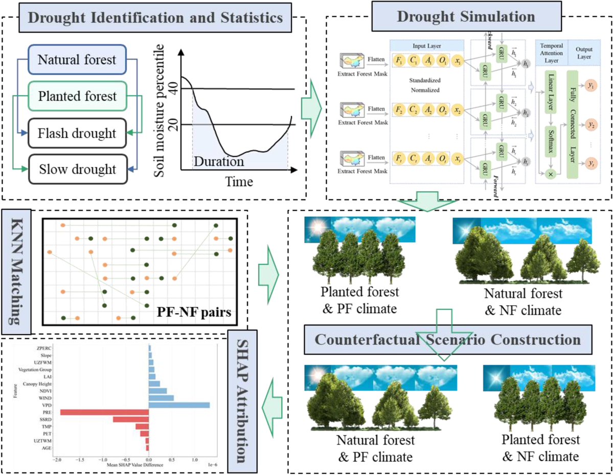 Osbert Sun tweet media