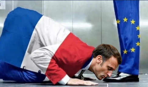 🇫🇷 fred le gaulois 🇫🇷 Uniondesdroites 🐱🐱 tweet media