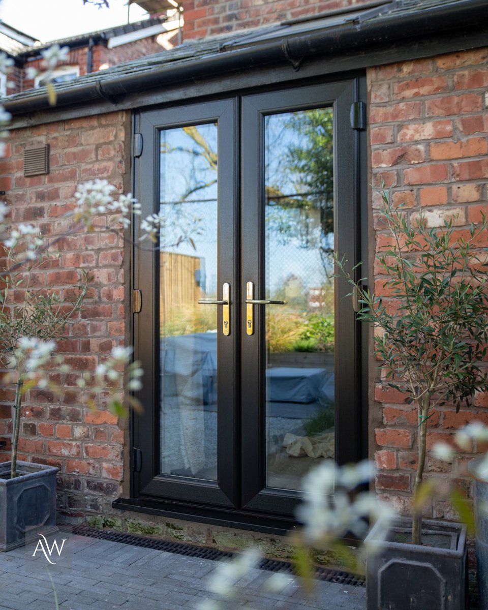 Alexander Windows tweet media