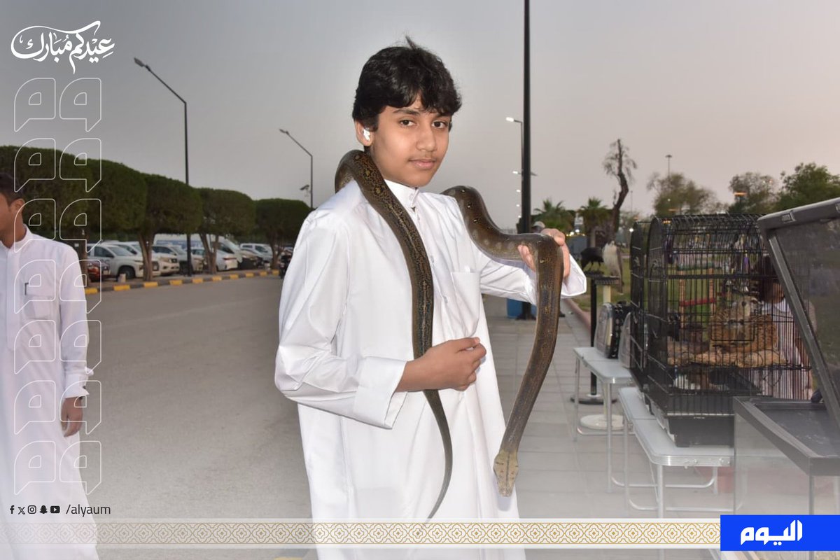 صحيفة اليوم tweet media