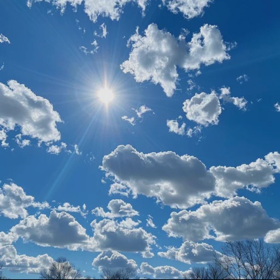 𝓢𝓪𝓷𝓭𝓻𝓪 ❤️🤍💙 tweet media