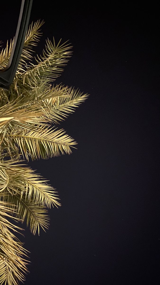 هيفاء علي نورالدينHaifaAli 🇱🇾 🇸🇦 tweet media