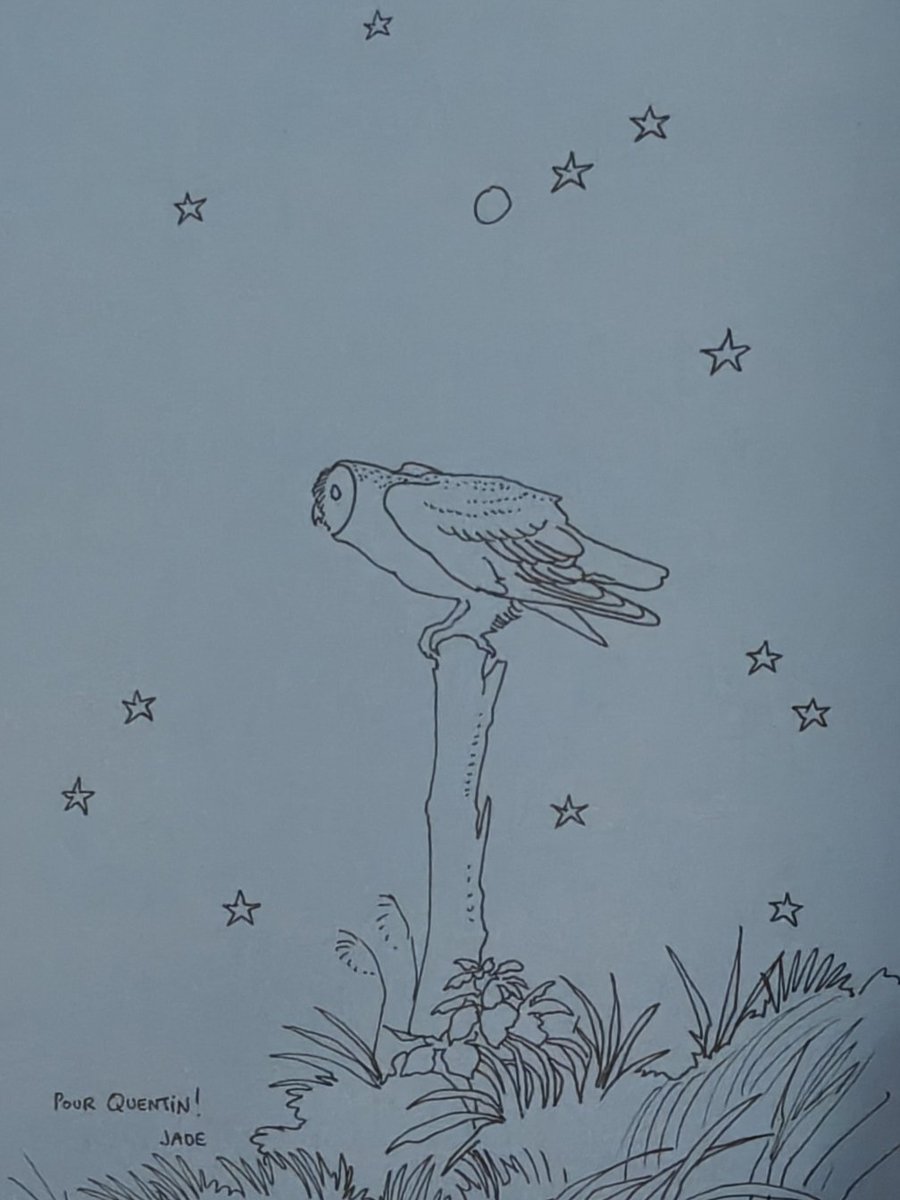 Quentin T. tweet media