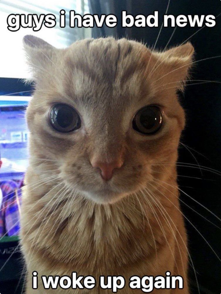 FiatBurner tweet media