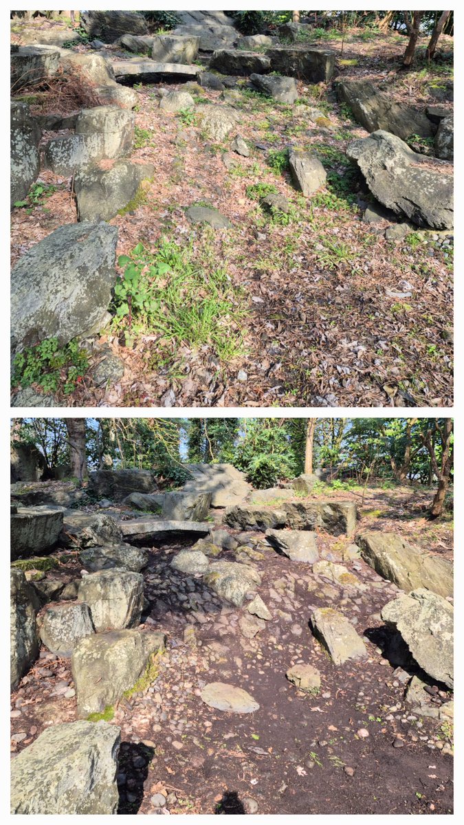 Friends of Festival Gardens tweet media