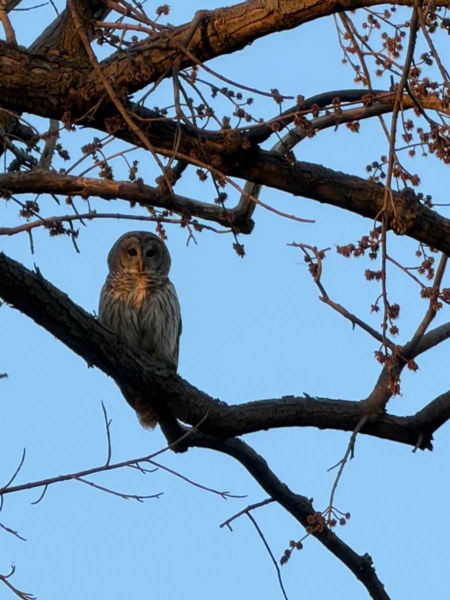 Beuks605 tweet media