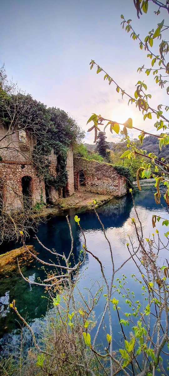 Ylefsch  tweet media