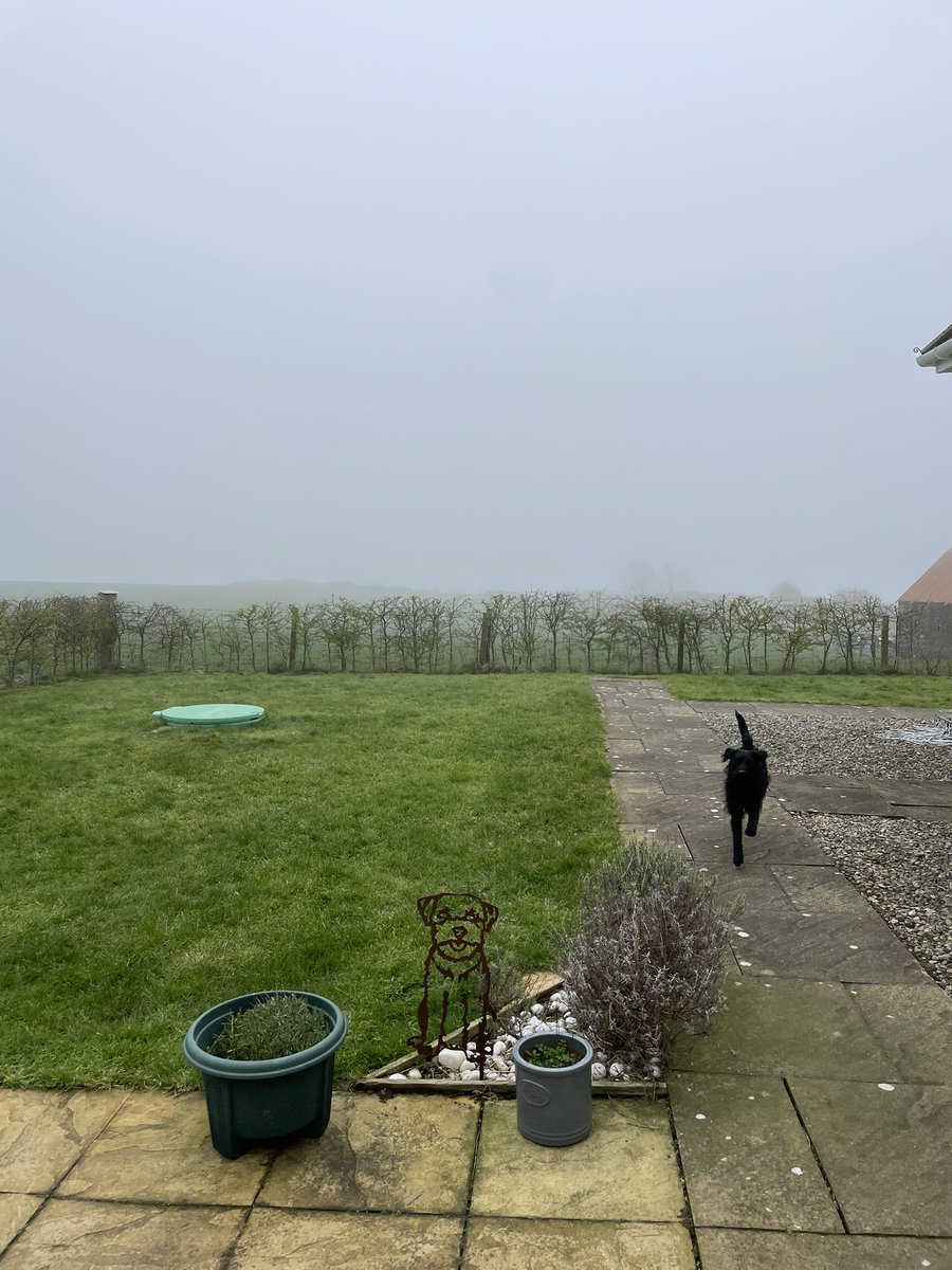 Adele and Rex (former staff to Monty🌈& Jilly🌈) tweet media