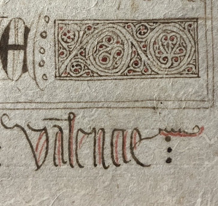 Joan Alonso tweet media