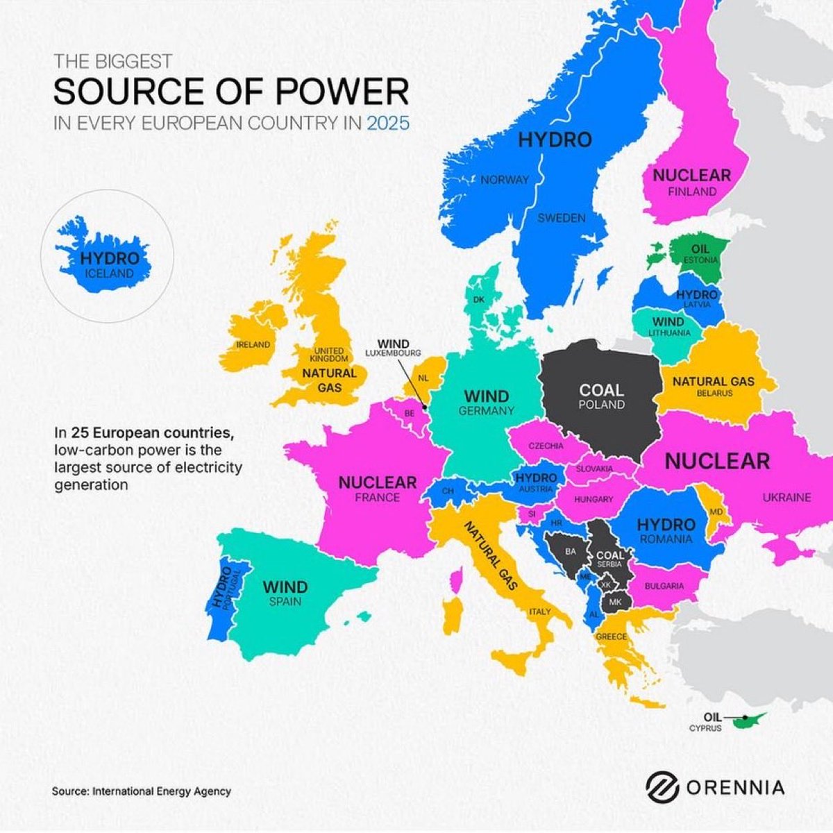 Jennifer Niklas tweet media