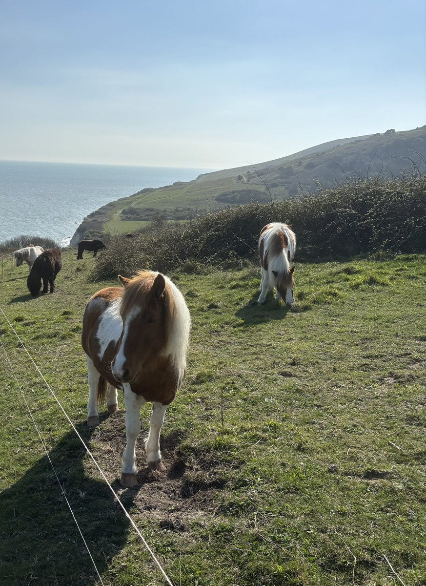 Ian Marshall tweet media