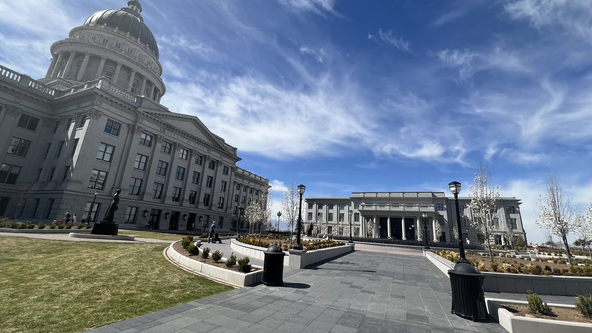 Kyle Treasure tweet media