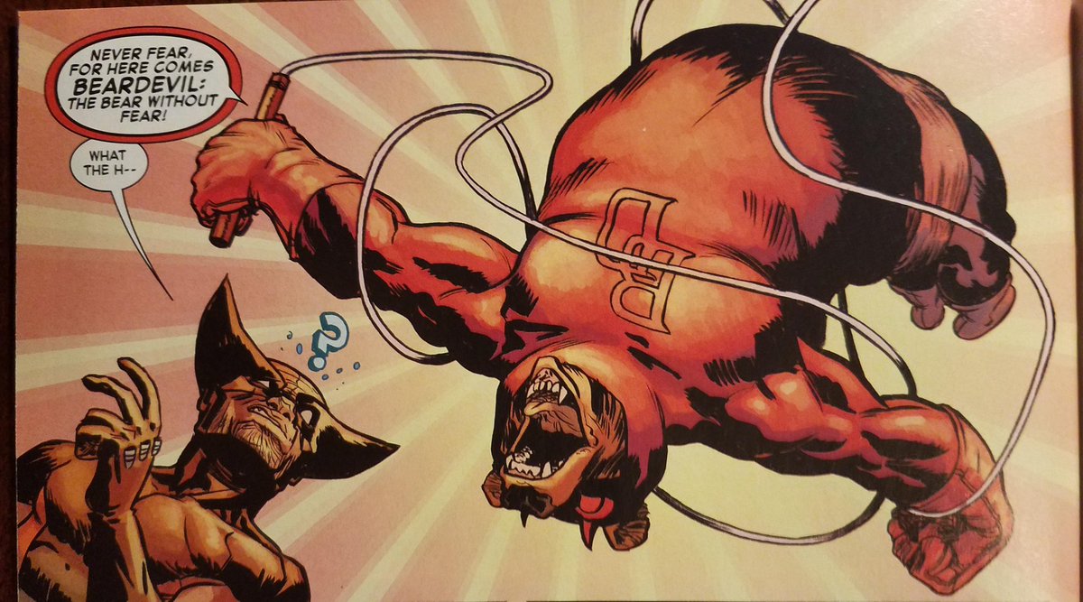 Bear Of The Day! tweet media