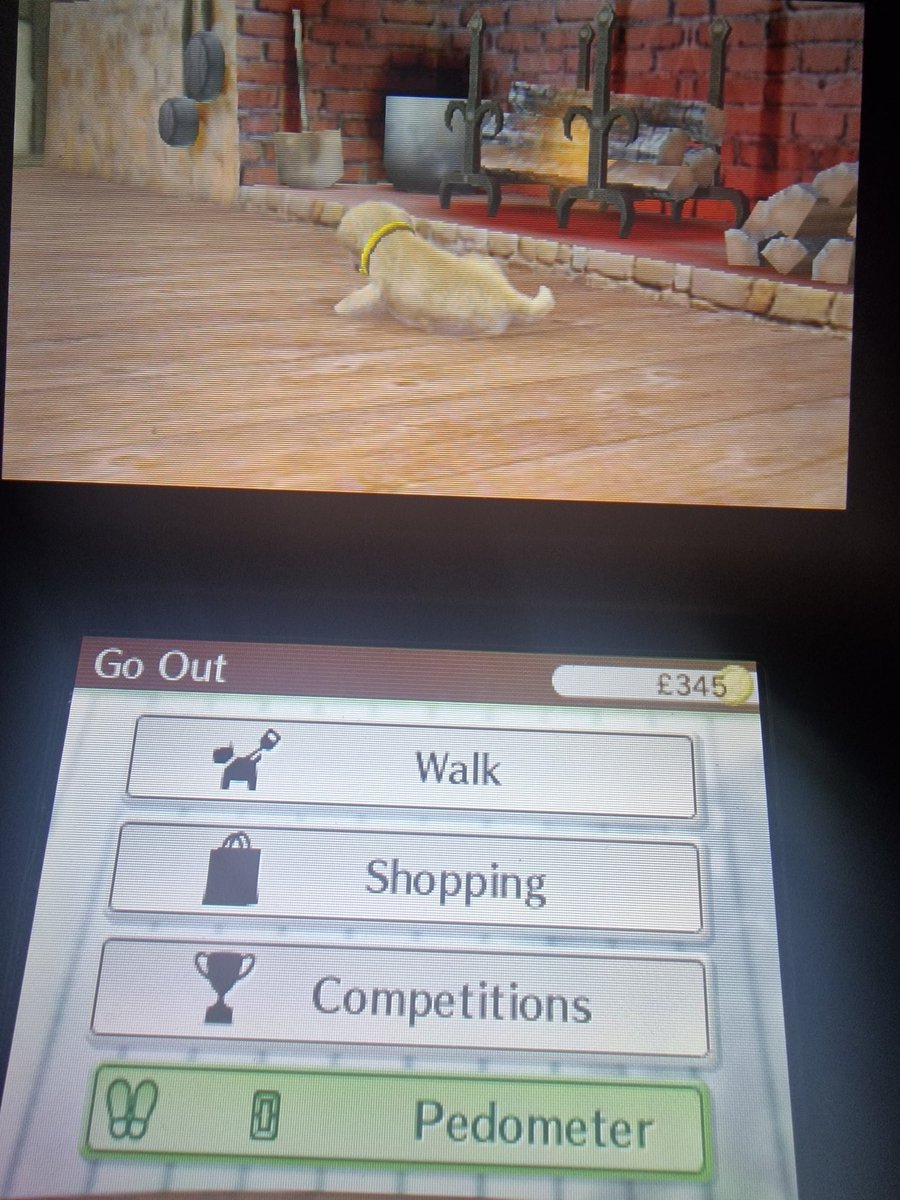 Rae🦭 (no.1 eared seal) tweet media