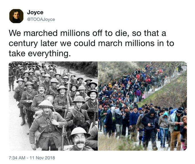 Walkabout tweet media