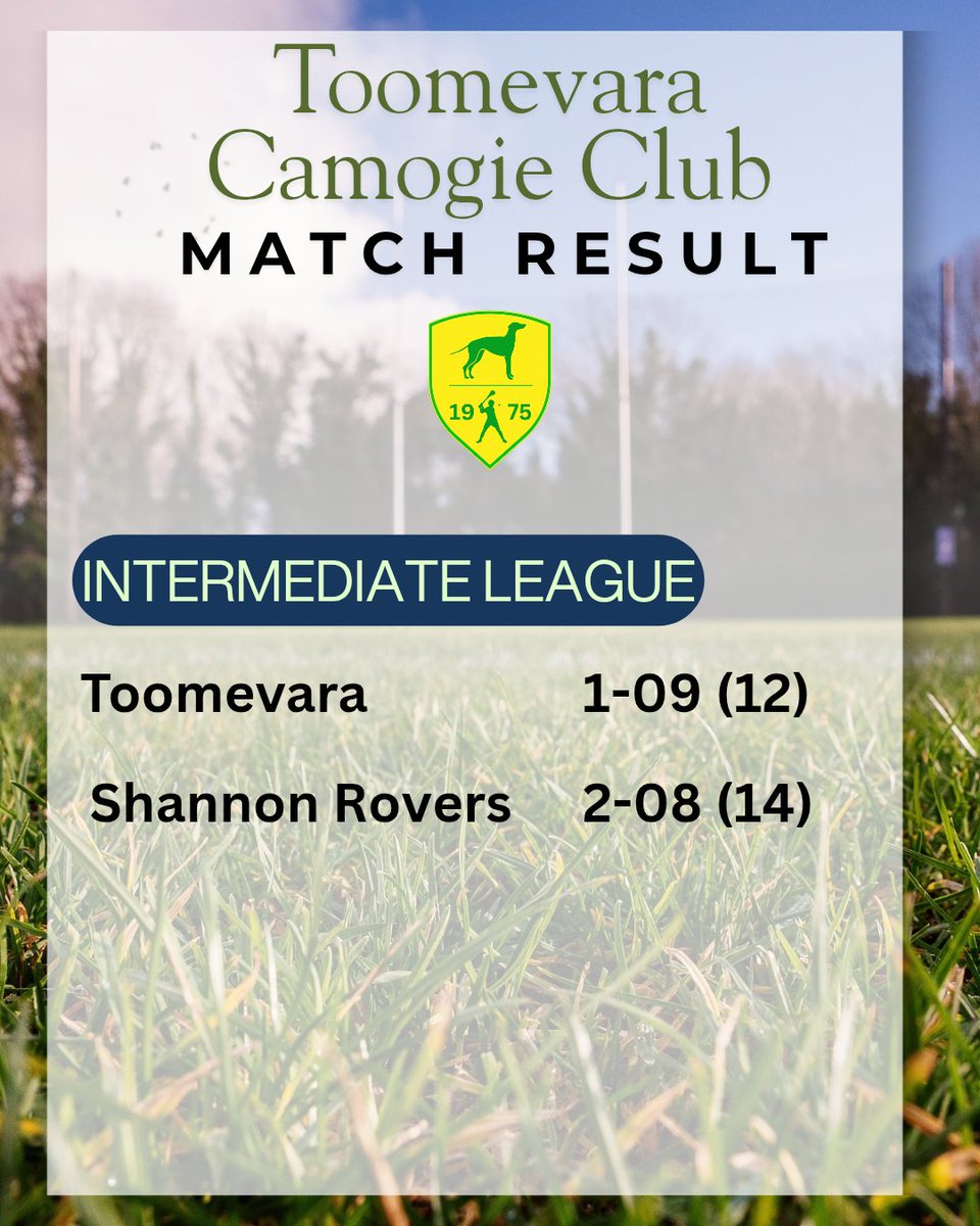 Toomevara Camogie tweet media
