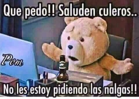 xelA reficuL 🖤 tweet media