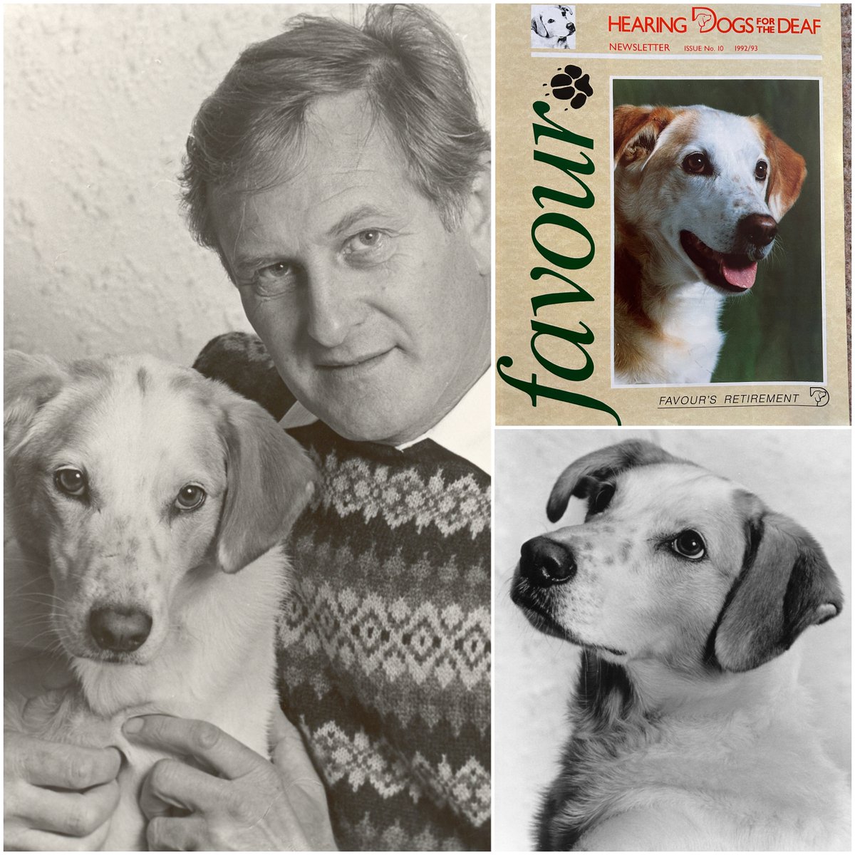 Hearing Dogs for Deaf People tweet media